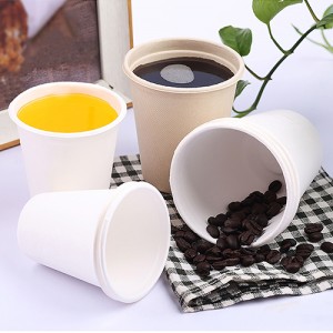 Sugarcane Paper Cup