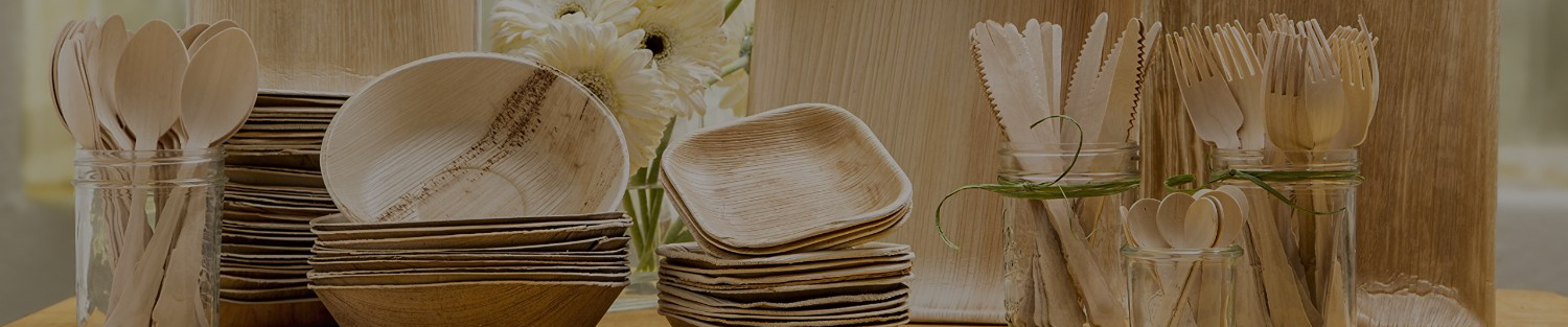 Natural-Palm-Leaf-Dinnerware-Set1